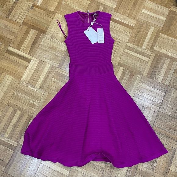BNWT Ted baker dress size 0 - Picture 1 of 4